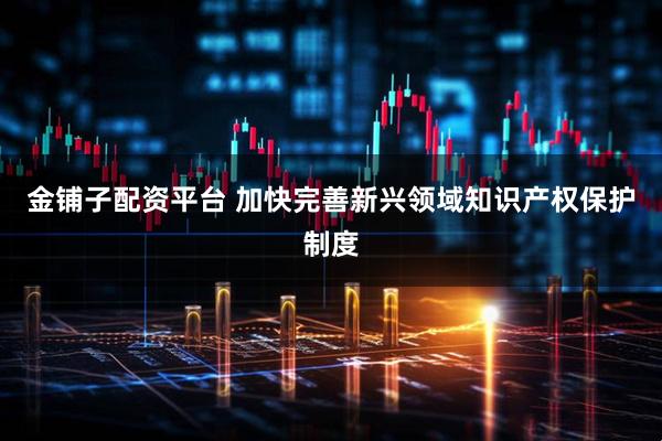 金铺子配资平台 加快完善新兴领域知识产权保护制度